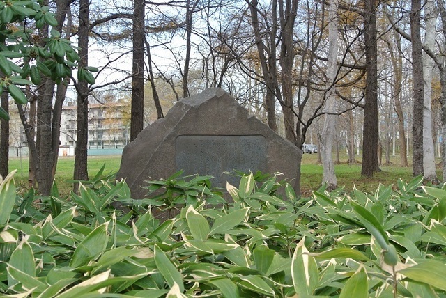 DSC_1887.JPG