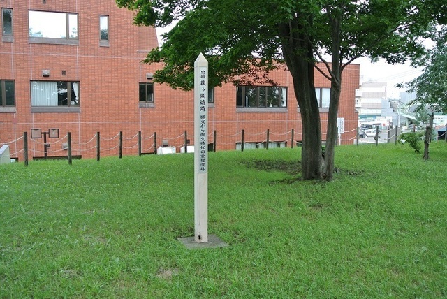 DSC_1916.JPG