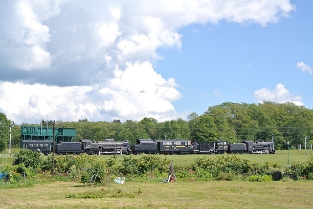 DSC_2161.JPG