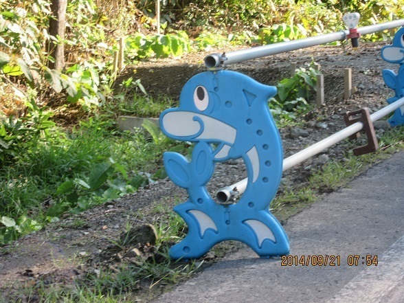 DSC_2222.JPG