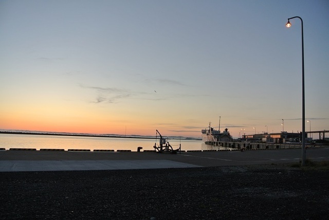 DSC_2242.JPG