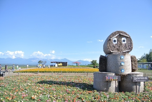 DSC_2325.JPG