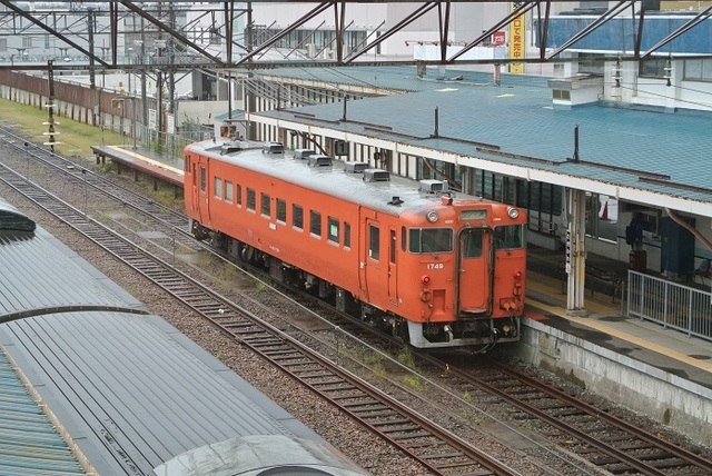 DSC_2605.JPG