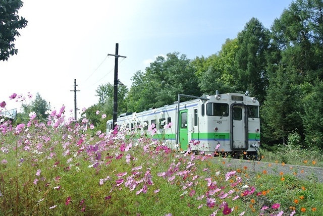 DSC_2814.JPG