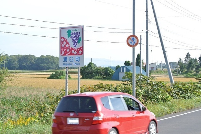 DSC_2910.JPG