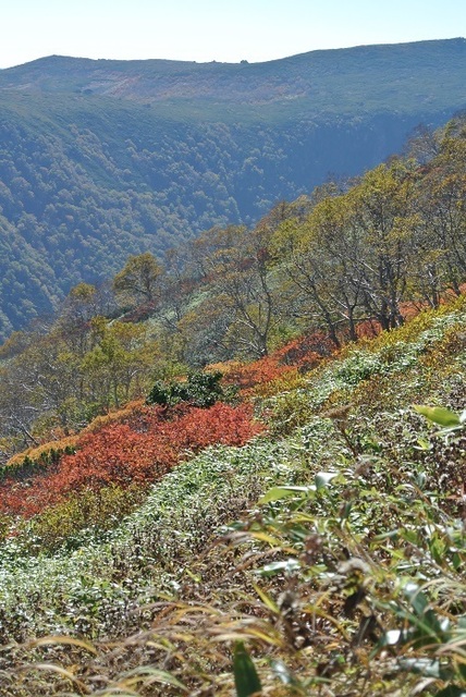 DSC_3061.JPG