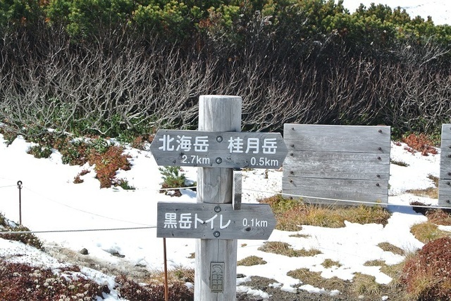 DSC_3097.JPG