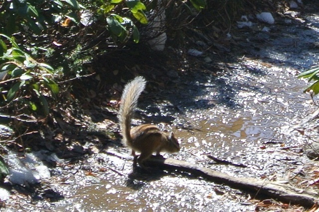 DSC_3102－１.JPG