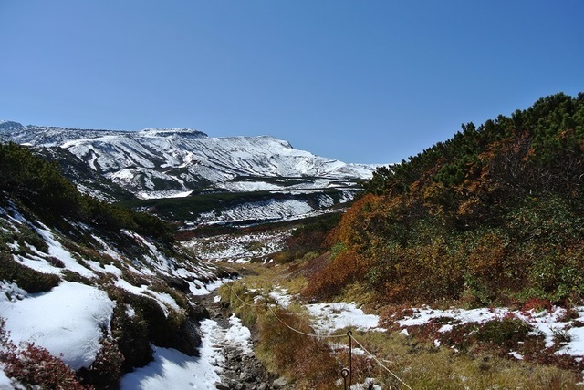 DSC_3110.JPG