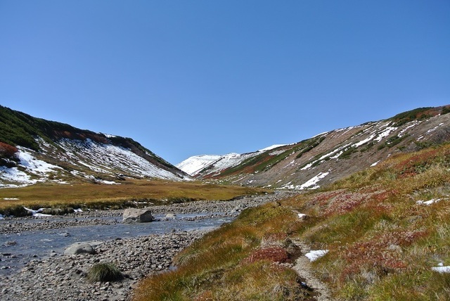 DSC_3120.JPG