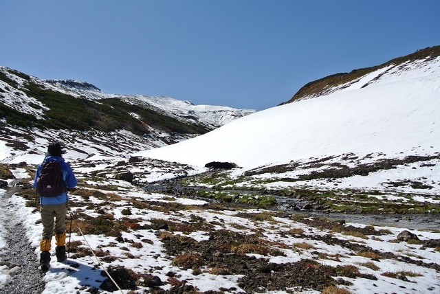 DSC_3131.JPG