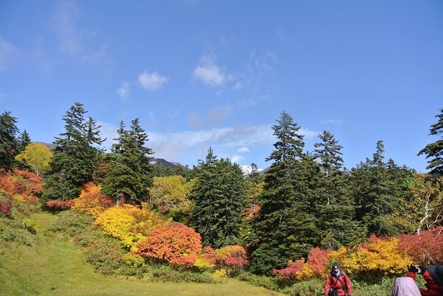 DSC_3183-土俵沼.JPG