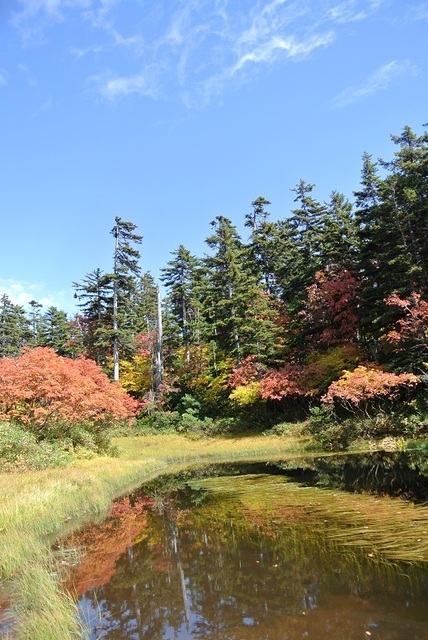 DSC_3194-バショウ沼.JPG