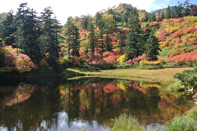 DSC_3197-滝見沼.JPG