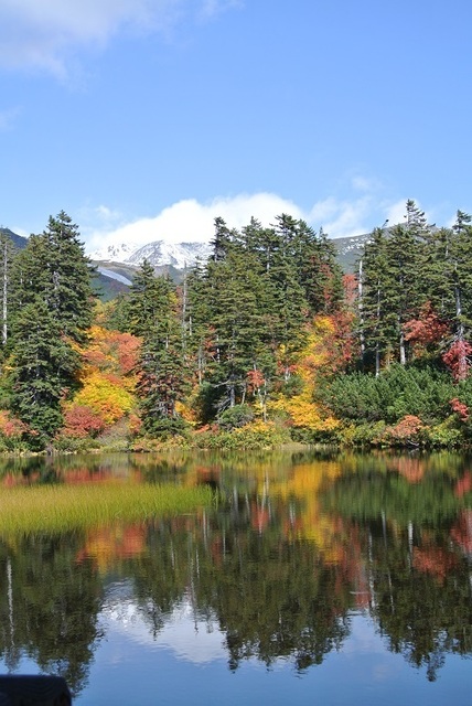 DSC_3204-緑沼.JPG