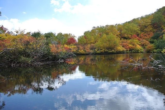 DSC_3238-鴨沼.JPG