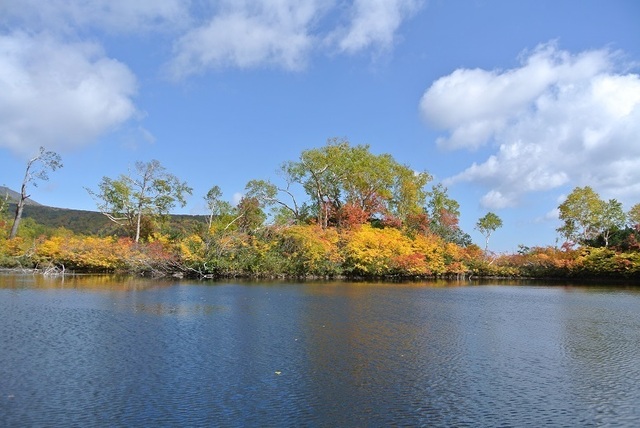 DSC_3241-エゾ沼.JPG