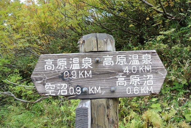 DSC_3274.JPG