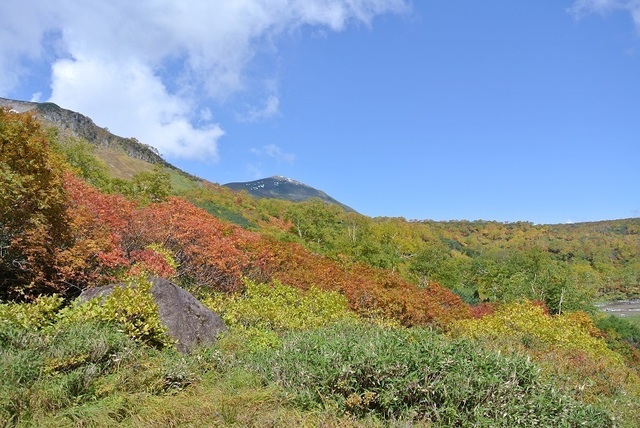 DSC_3276.JPG
