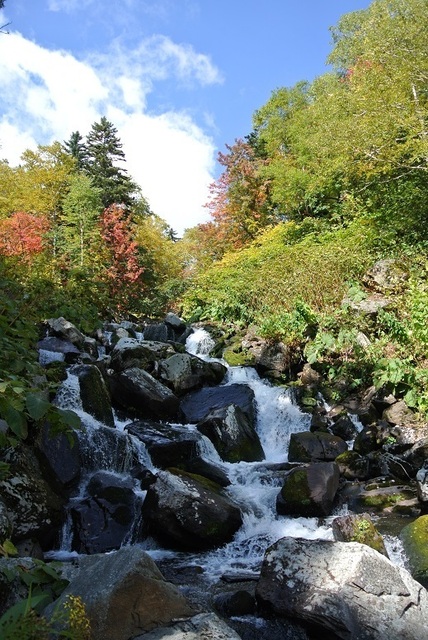 DSC_3293-ヤンベタップ川.JPG
