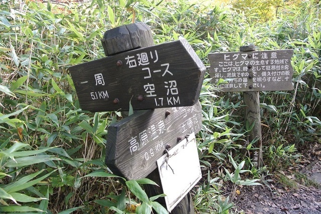 DSC_3301.JPG