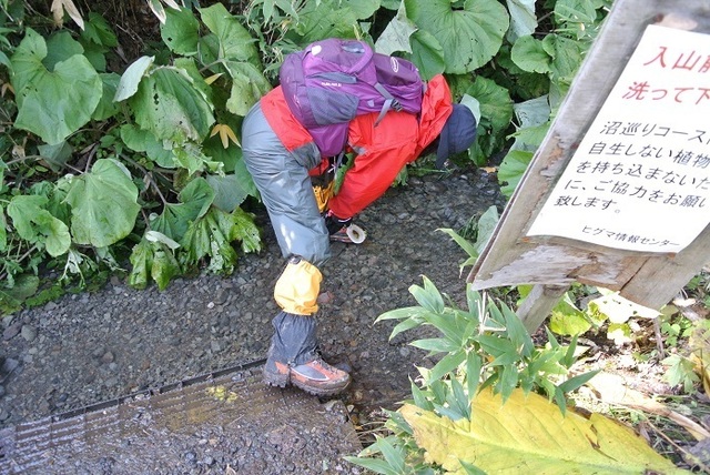 DSC_3304.JPG