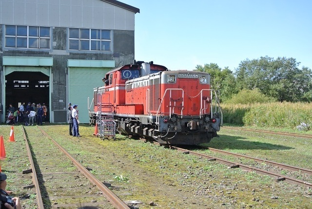 DSC_3503.JPG