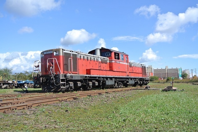 DSC_3516.JPG