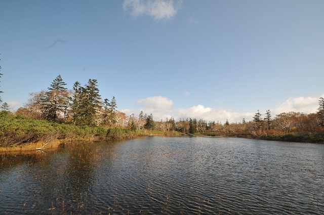 DSC_3703-2.JPG