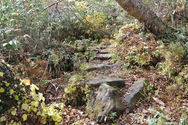 DSC_3710.JPG