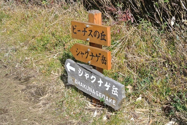 DSC_3716.JPG