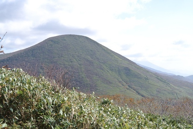 DSC_3721.JPG