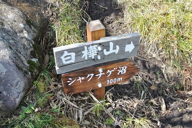 DSC_3723.JPG