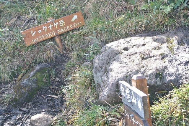DSC_3726.JPG