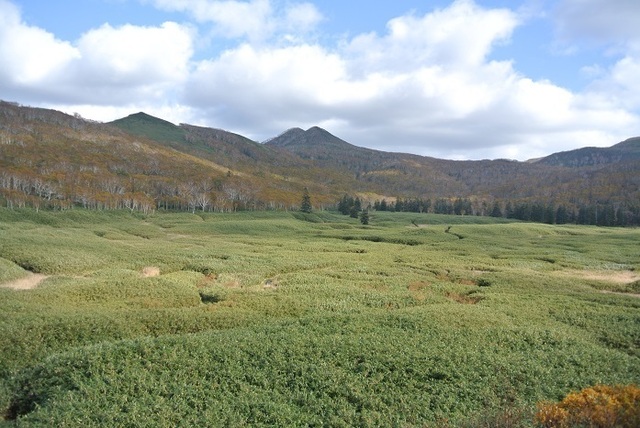 DSC_3755.JPG