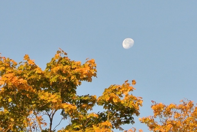 DSC_3777.JPG