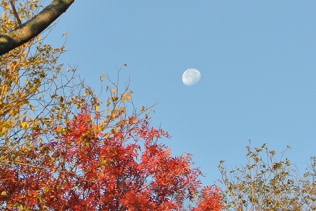 DSC_3781.JPG