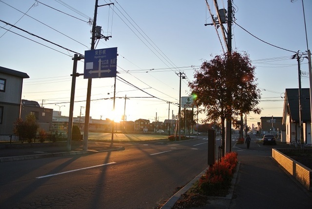 DSC_3974.JPG
