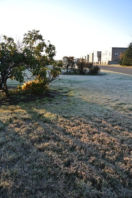 DSC_3982.JPG