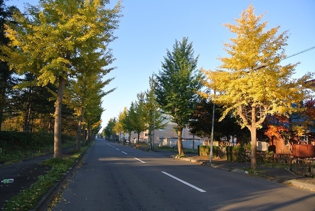 DSC_3989.JPG