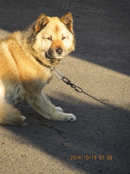 DSC_4006.JPG