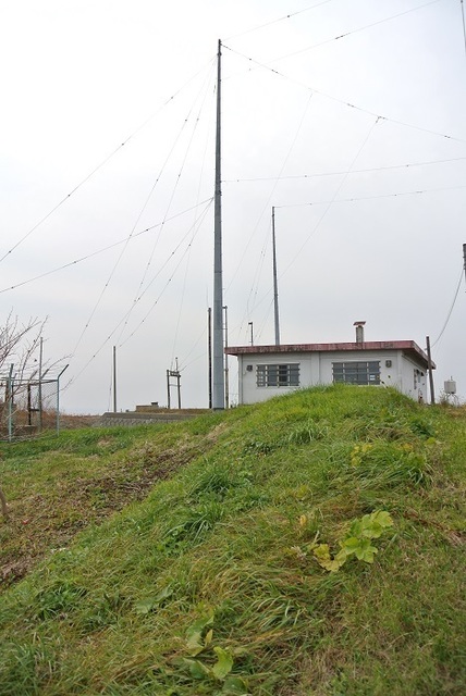 DSC_4233.JPG