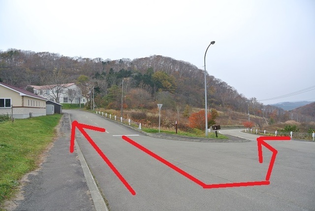 DSC_4237.JPG