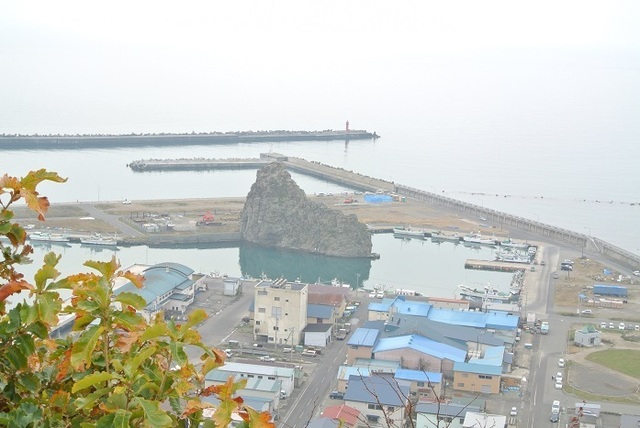 DSC_4246.JPG
