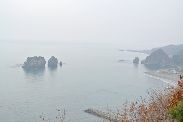 DSC_4247.JPG