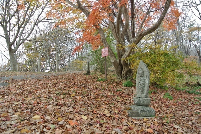 DSC_4249.JPG