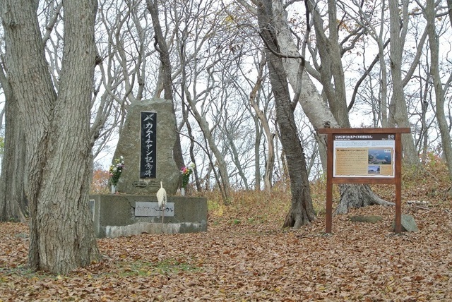 DSC_4251.JPG
