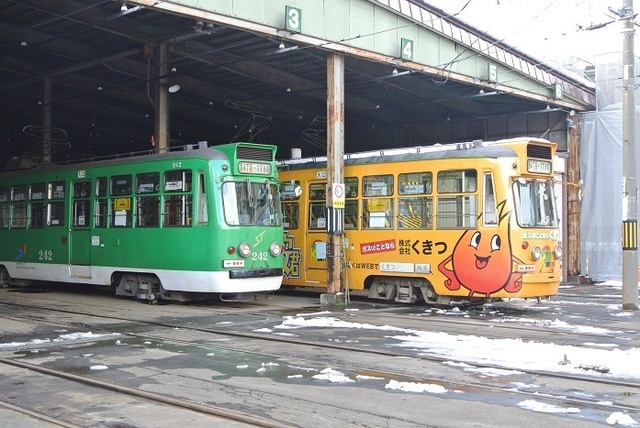 DSC_4502.JPG