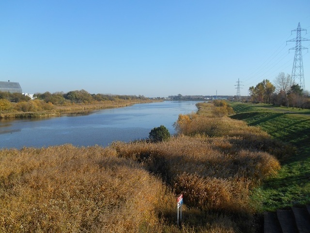 DSC_4554.JPG