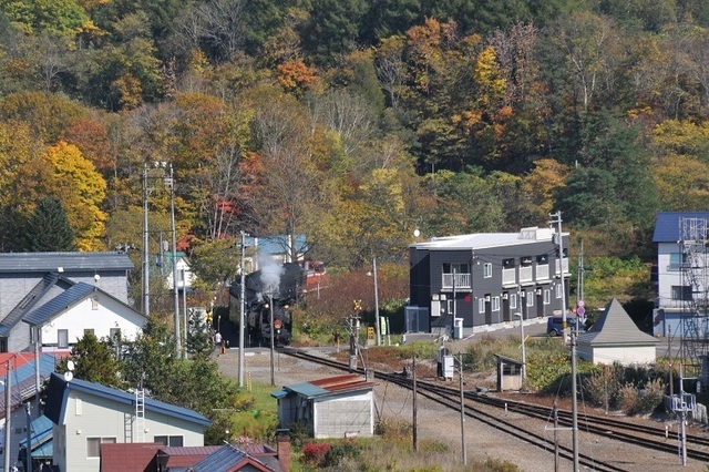 DSC_4894.JPG